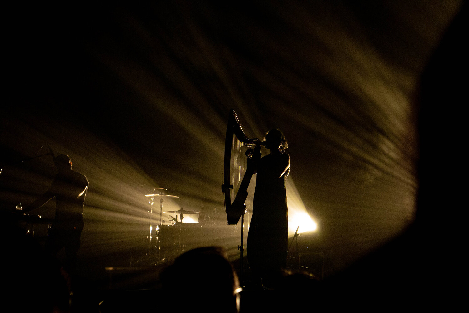 Photo #13909849