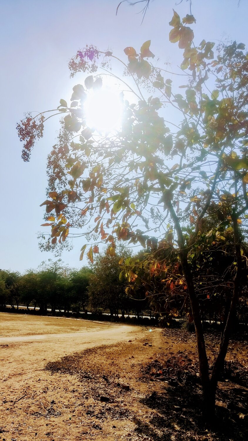 NATURE
