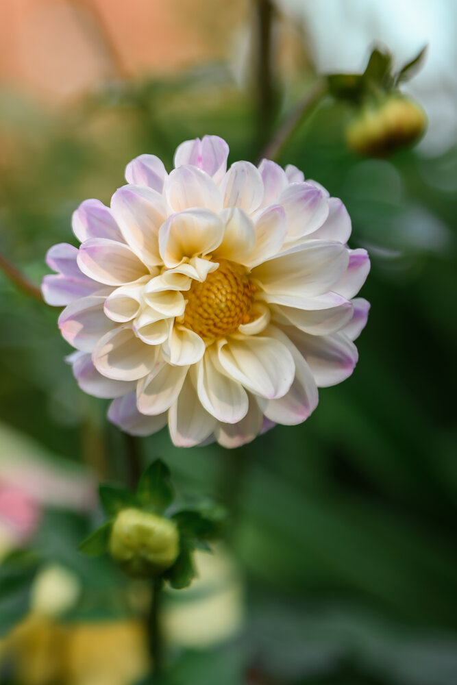 Photograph by Ляхова Ольга