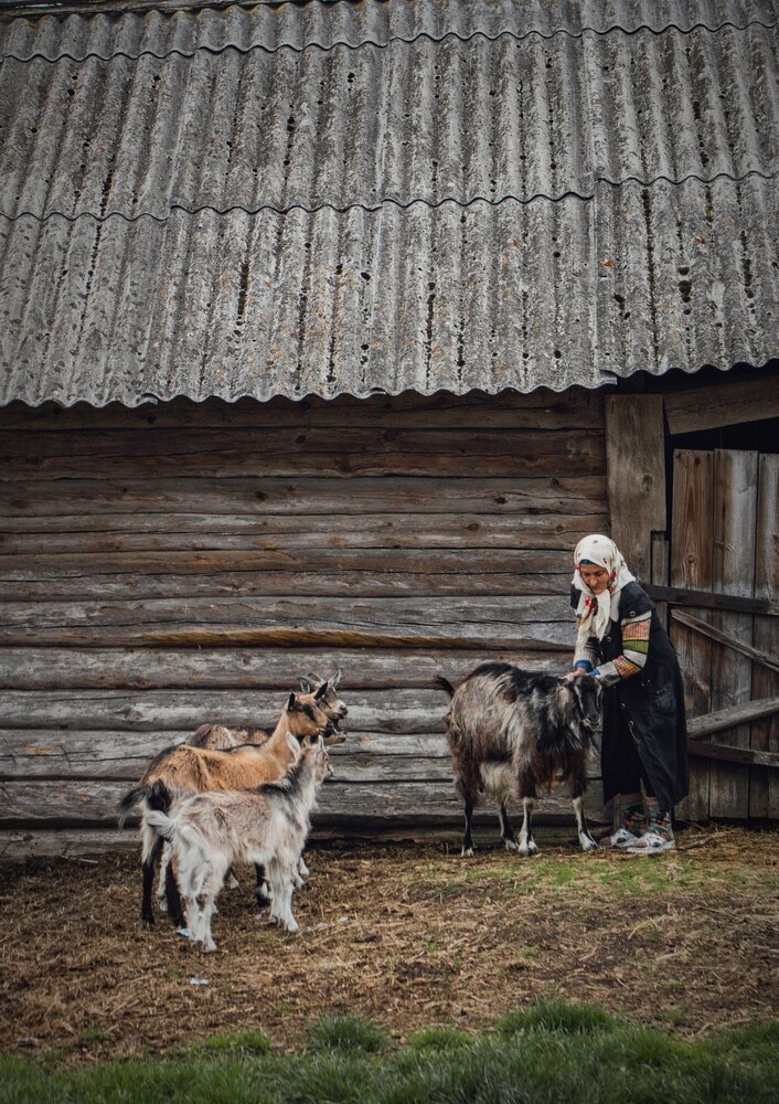 Photograph by Виктория Трущенко