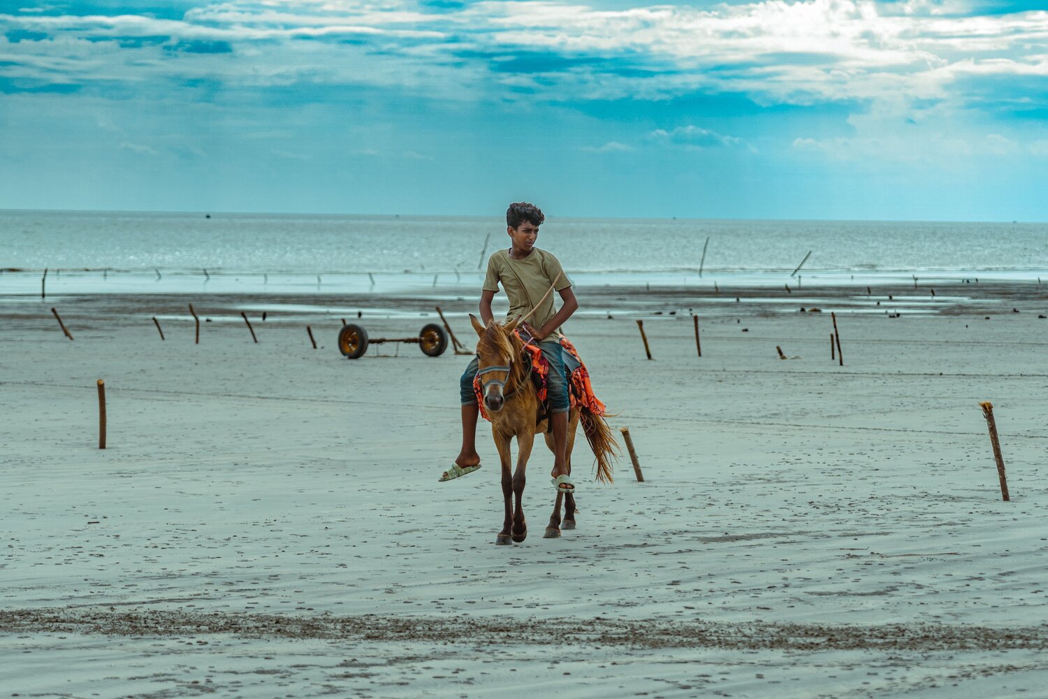 Horse Rider