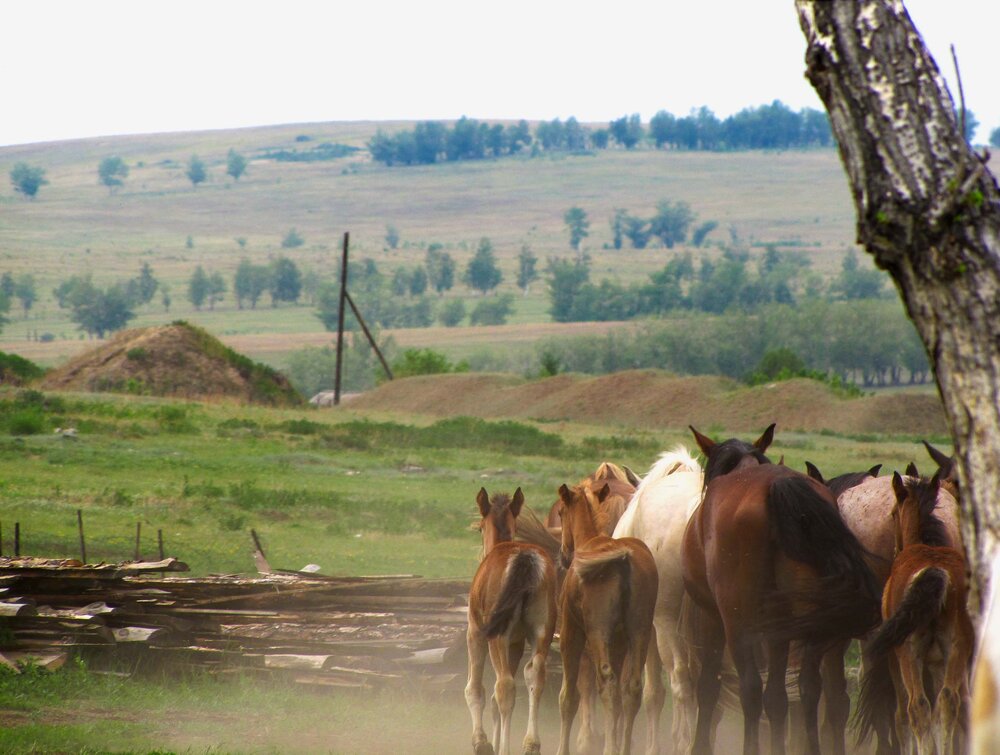Photograph by Евгения Бурлуцкая