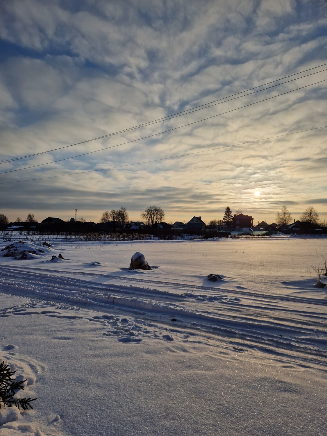 Photo #13909935