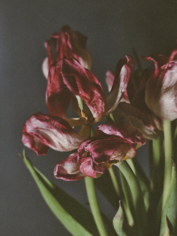 Photograph by Наталья Захарова