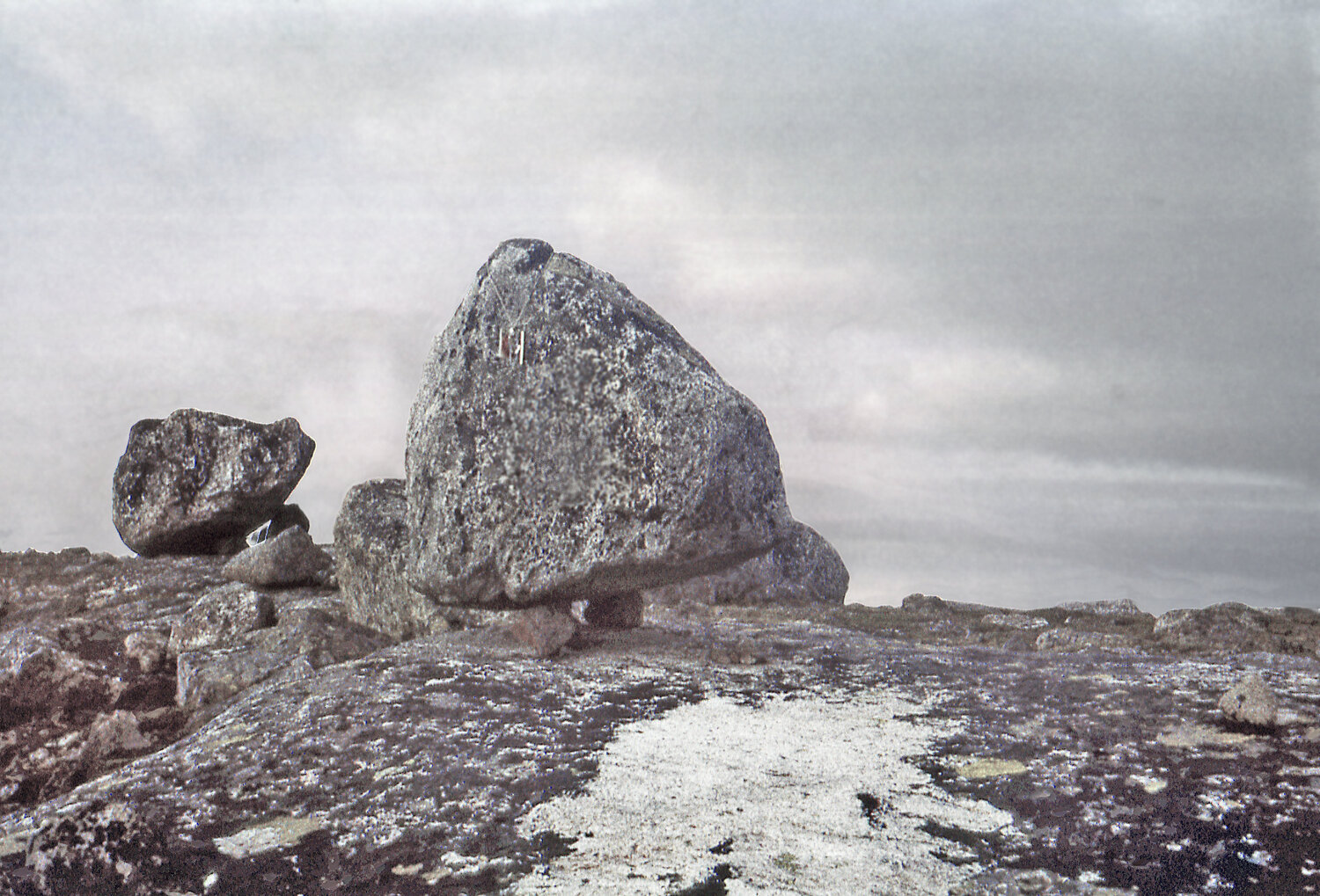 Photo #13909968