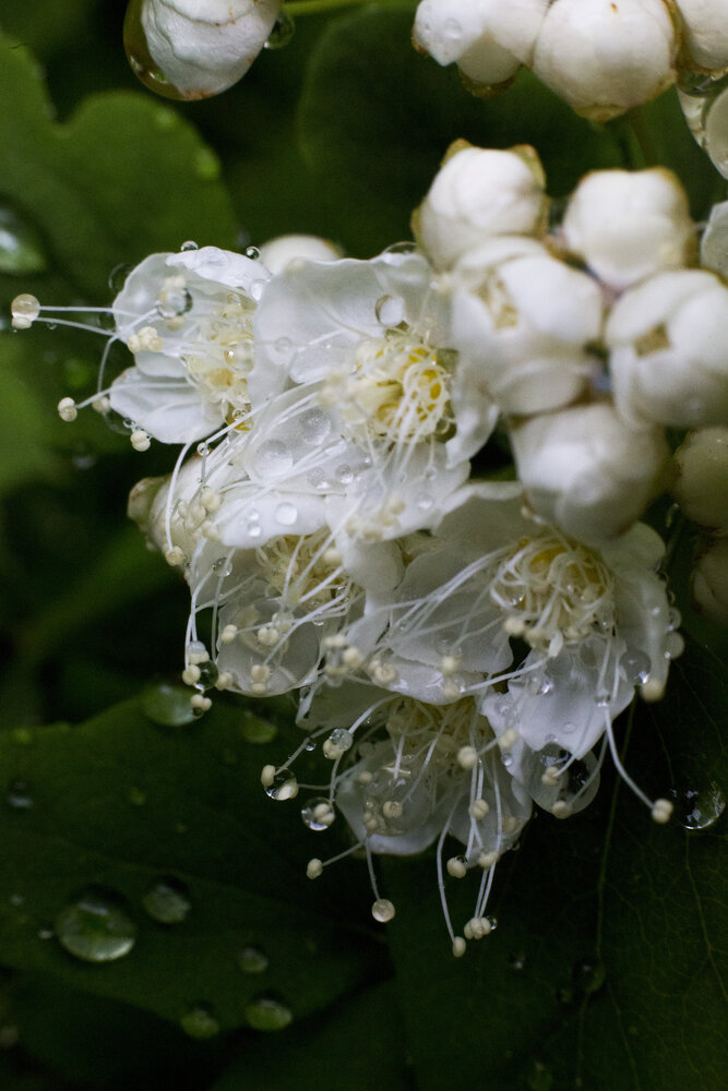 Photograph by Ксения Малявина