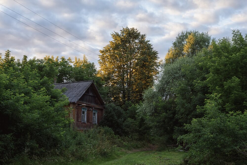 Photograph by Ляхова Ольга