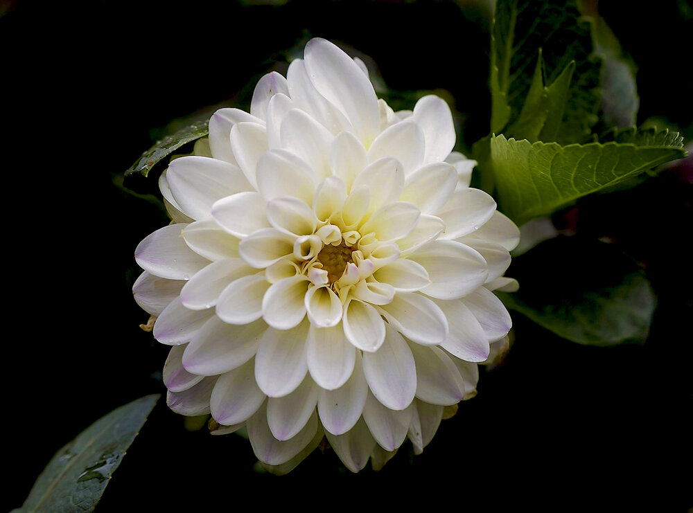 Photograph by александр лялин