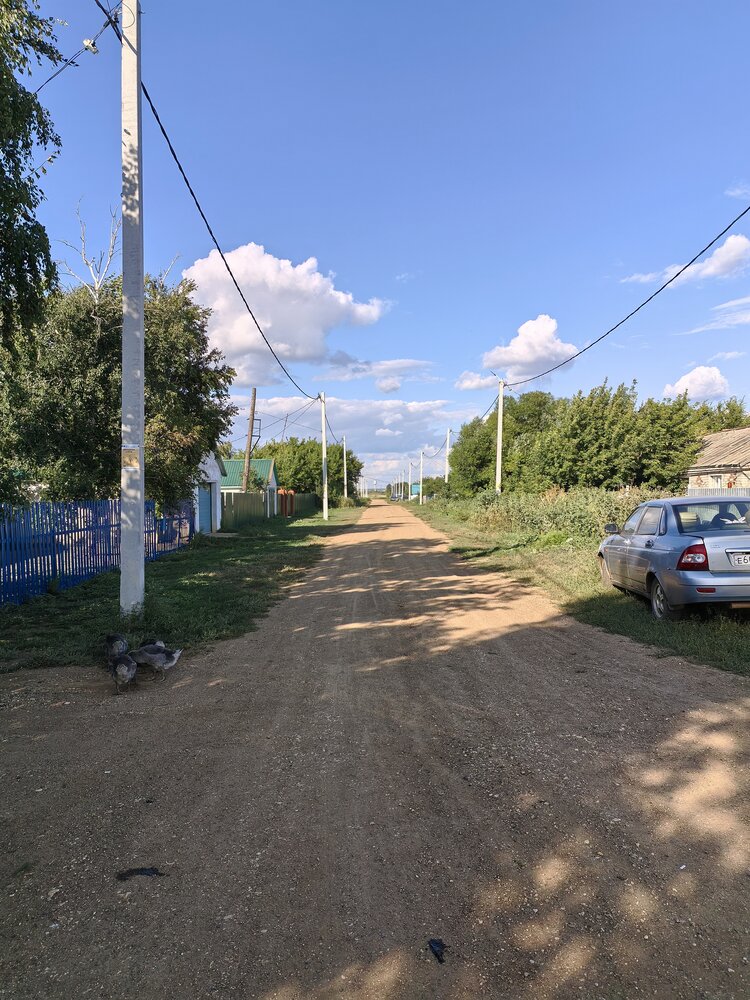 Photograph by Светлана Пегова