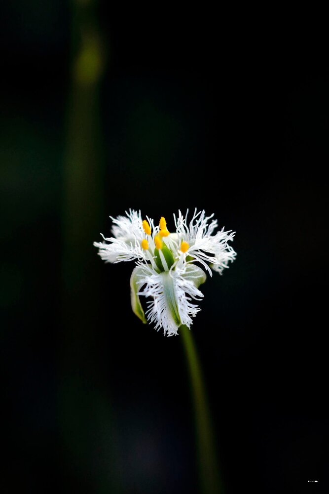 Photograph by Ricardo Vergara