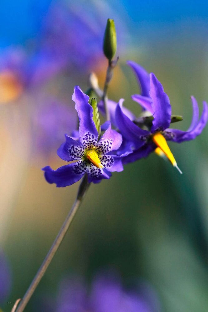 Photograph by Ricardo Vergara