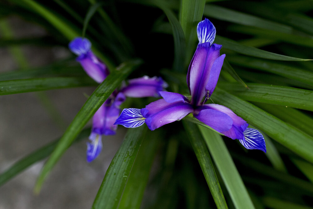 Photograph by Ксения Малявина
