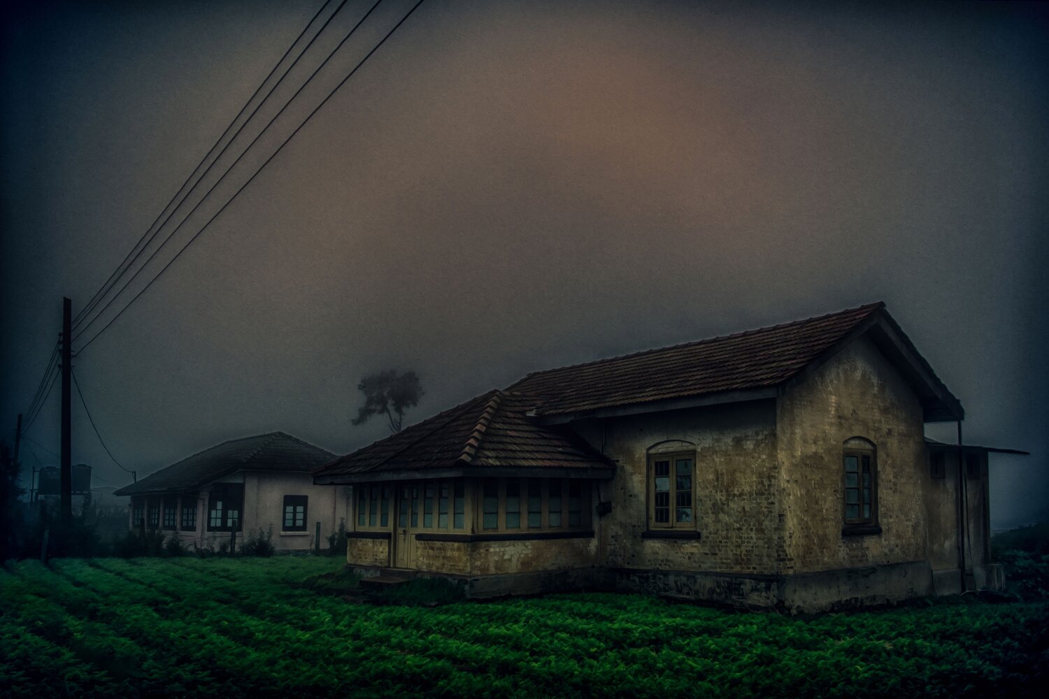 Photo #13910052