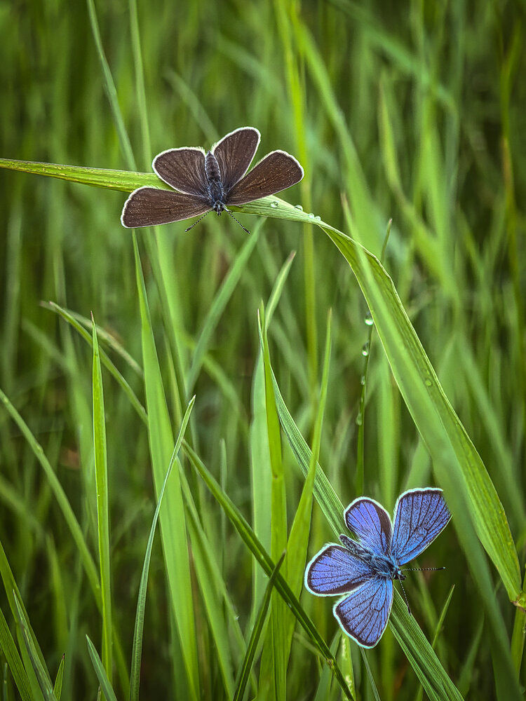 Photograph by Елена Шляхова