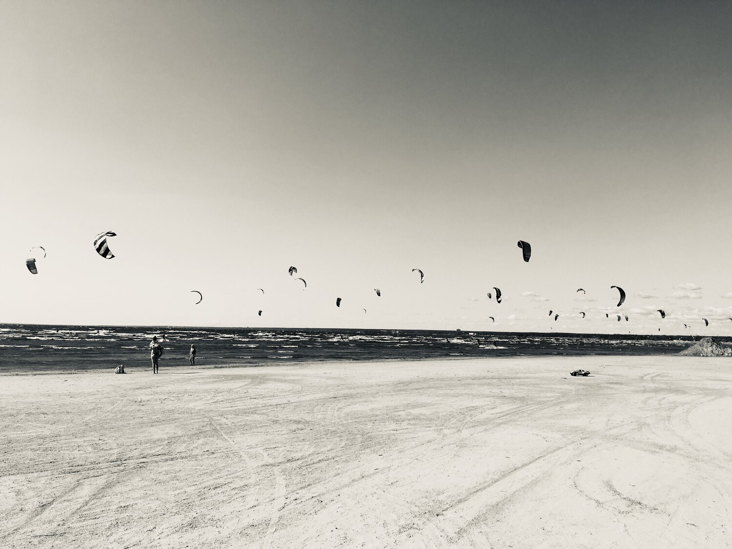 Photo #13910086