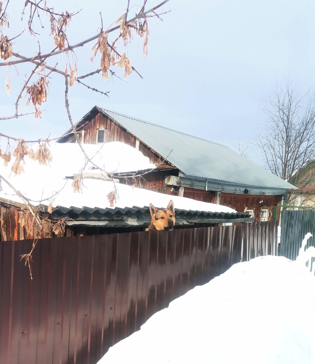 Photo #13910091