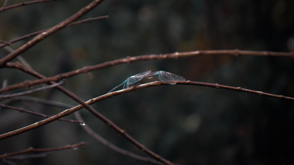 Photograph by Trong Hoang