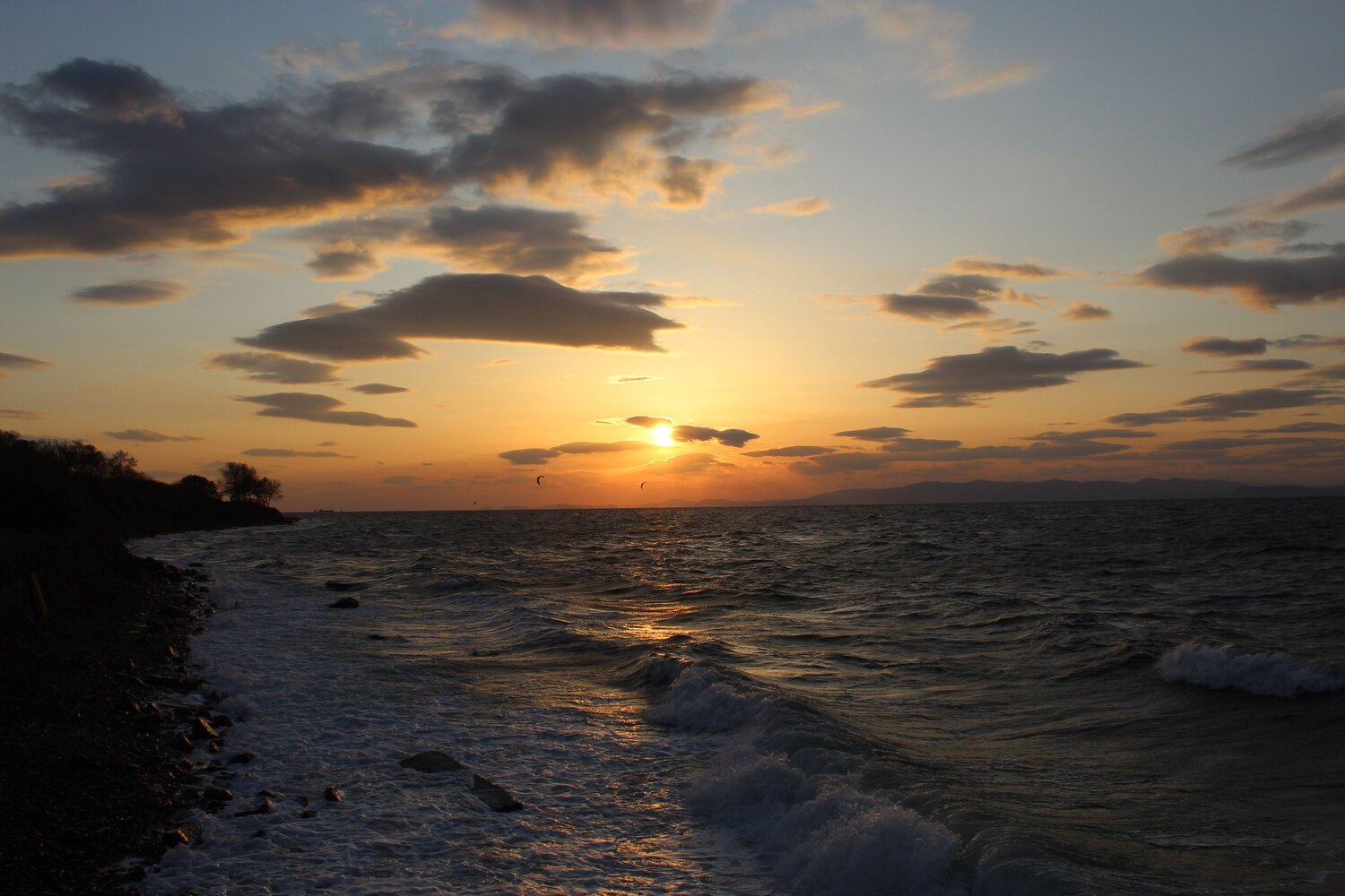 Photo #13910116