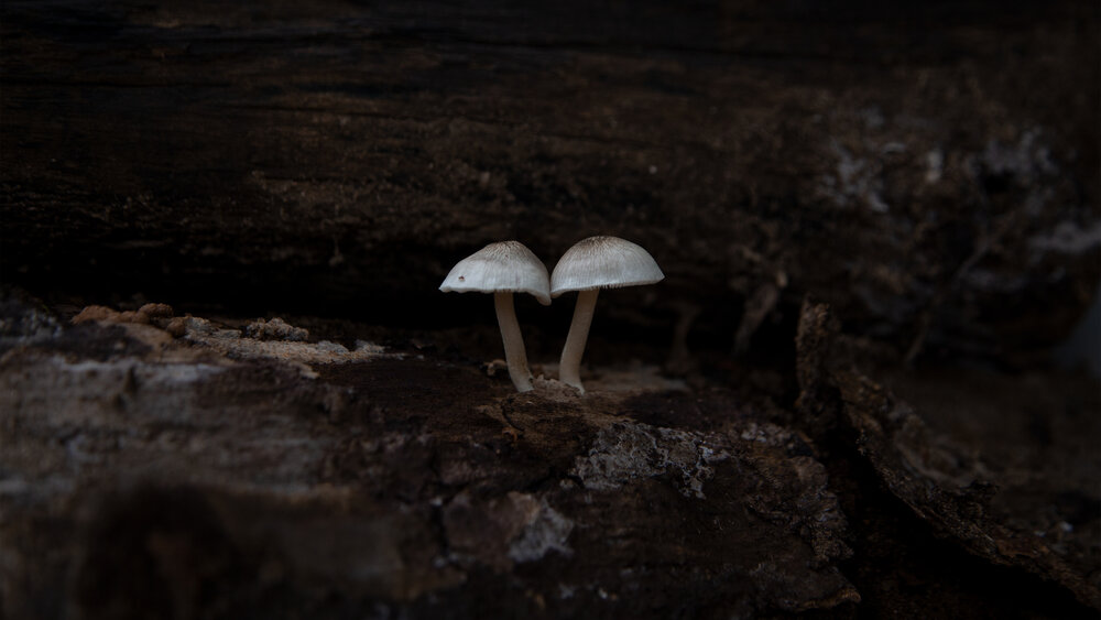 Photograph by Trong Hoang
