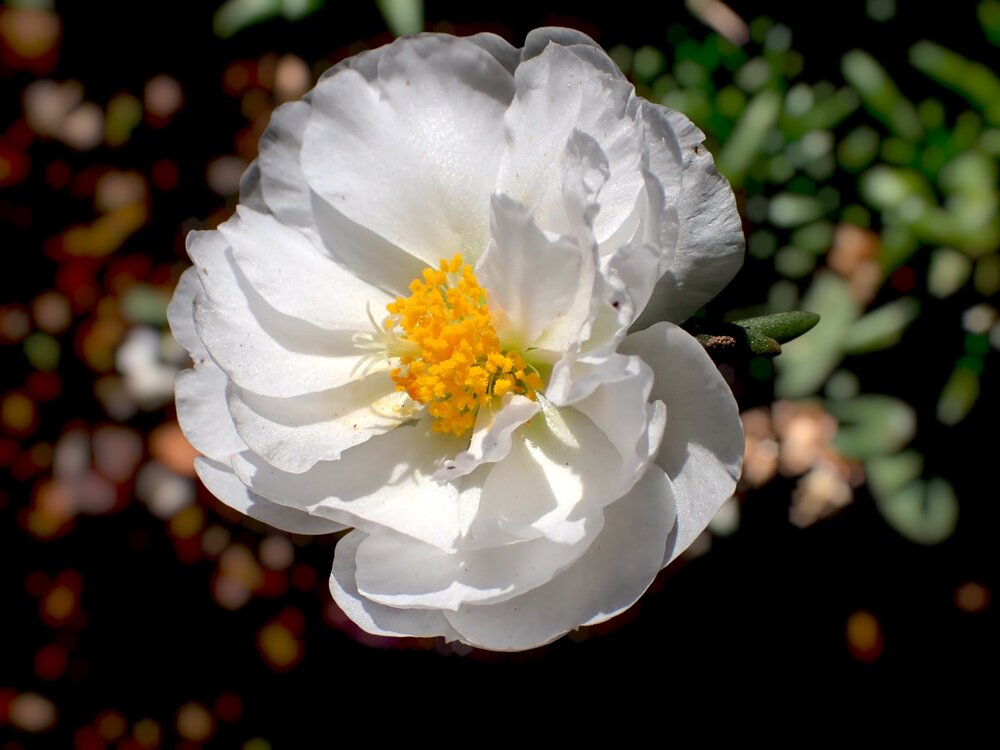 Photograph by Александр Минич