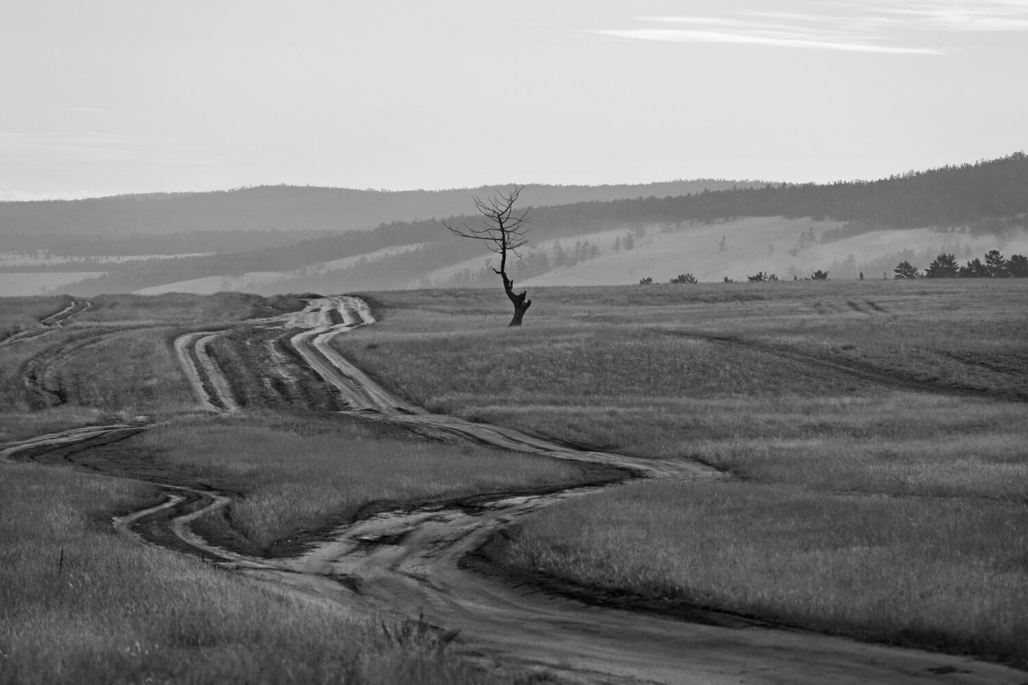Photo #13910273