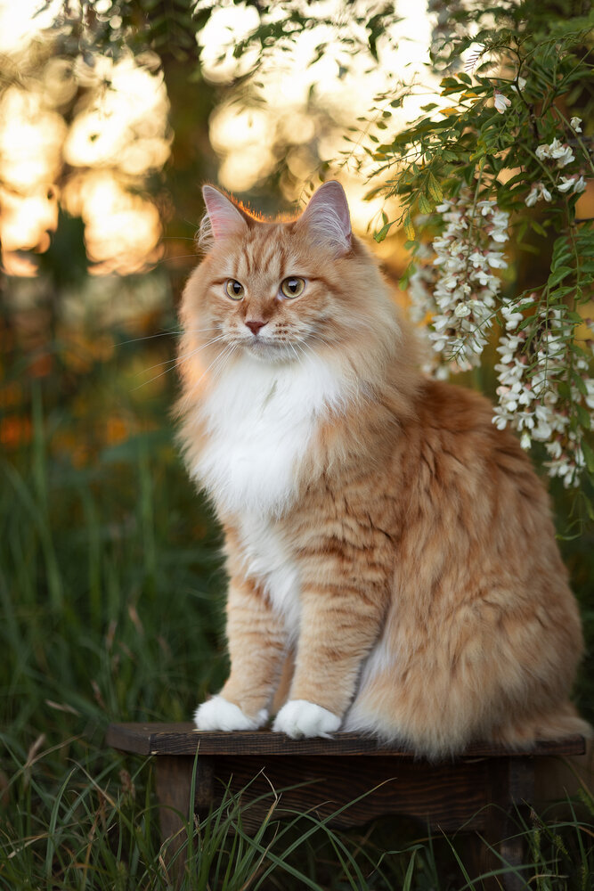 Photograph by Елена Косинова