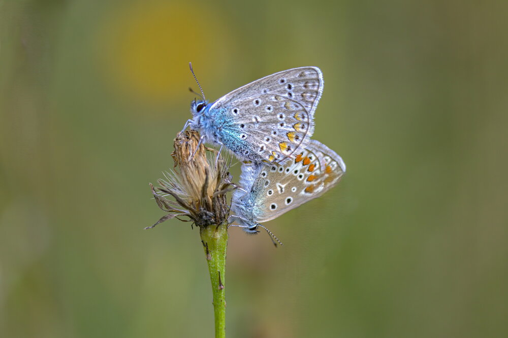 Photograph by Волынский Виктор