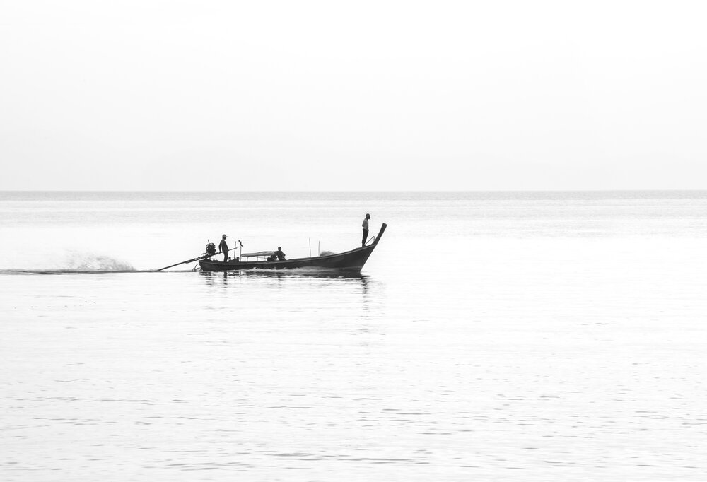 Photograph by Людмила Прокофьева
