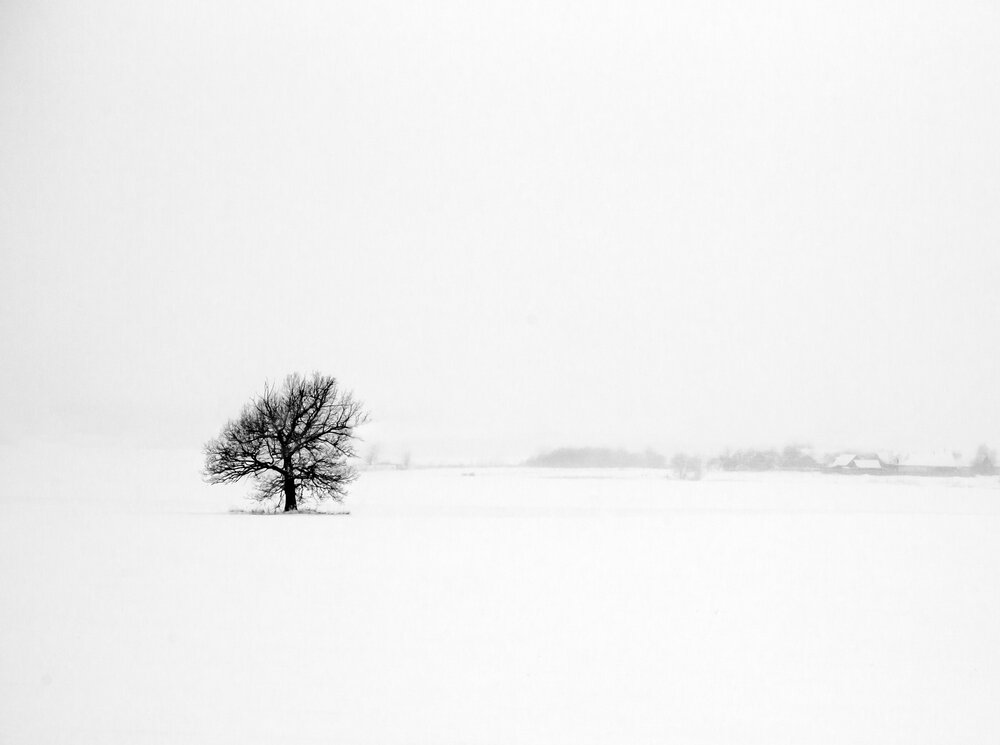 Photograph by Людмила Прокофьева