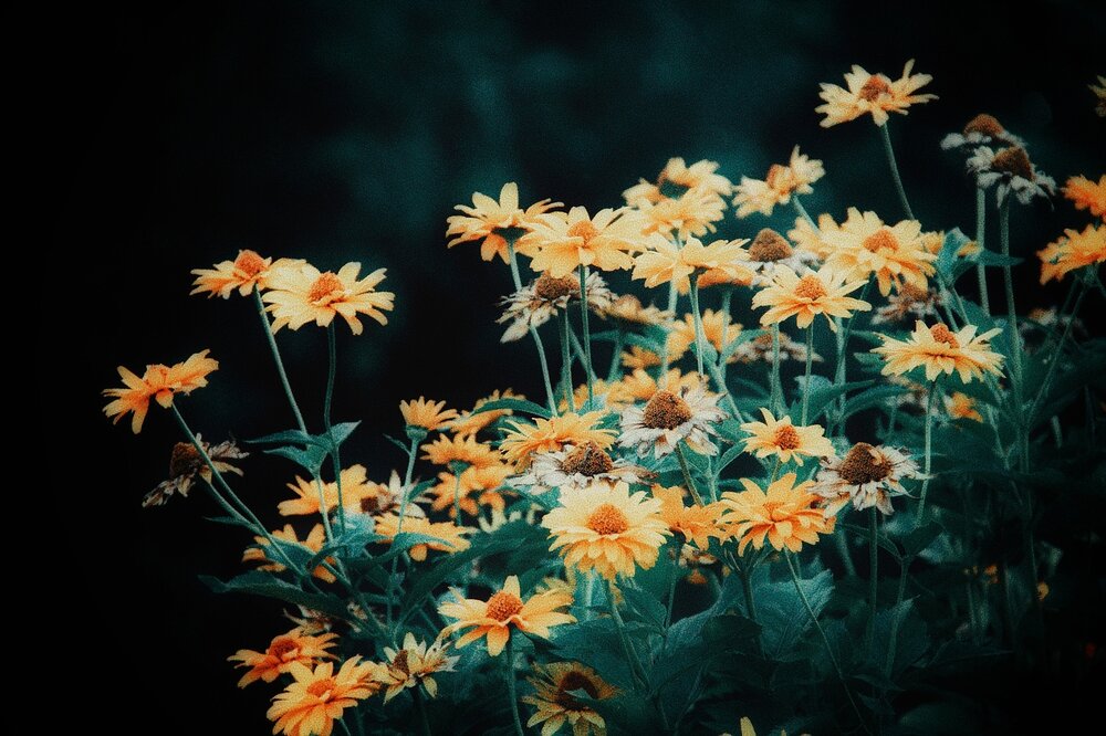 Photograph by Иван Чирков