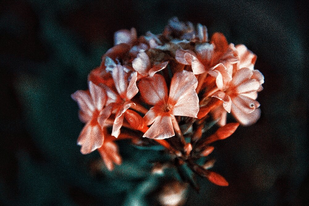 Photograph by Иван Чирков