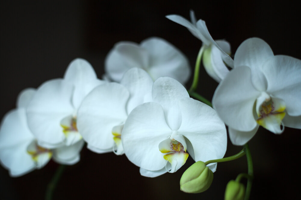 Photograph by Павел Великодский