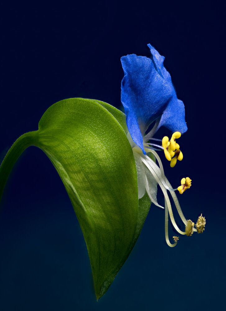 Photograph by Владимир