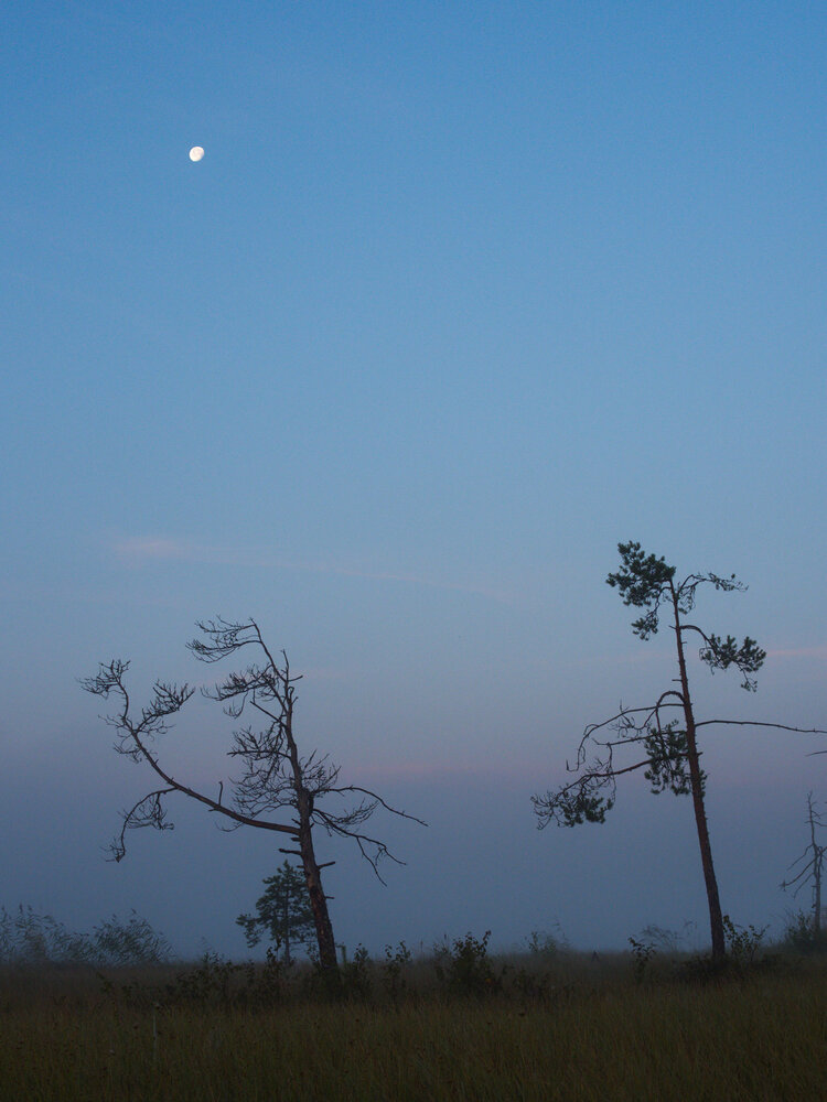 Photograph by Поляков Алексей