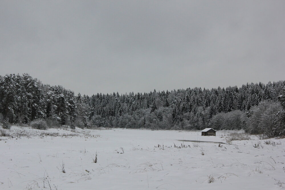 Photograph by Надежда Онищенко