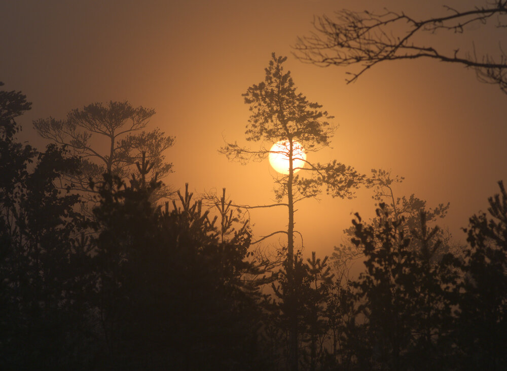 Photograph by Поляков Алексей