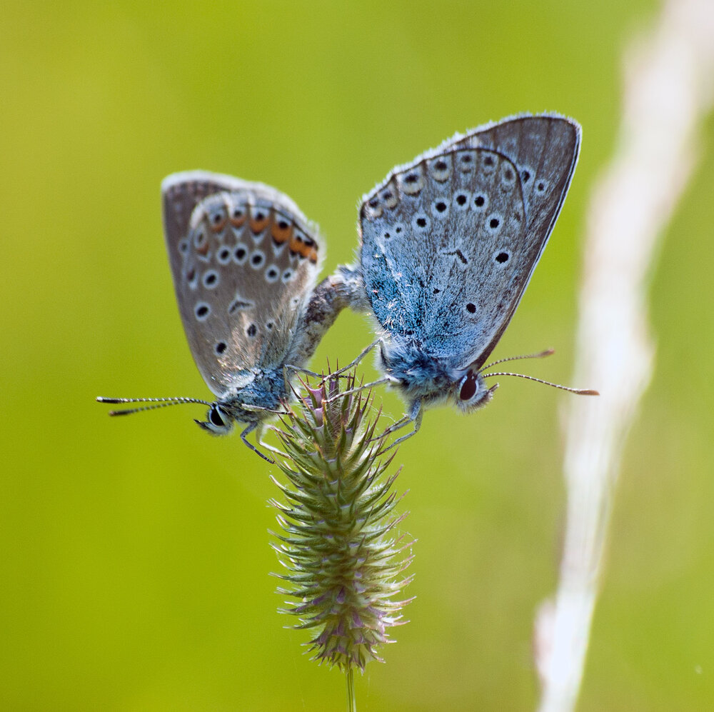 Photograph by Поляков Алексей
