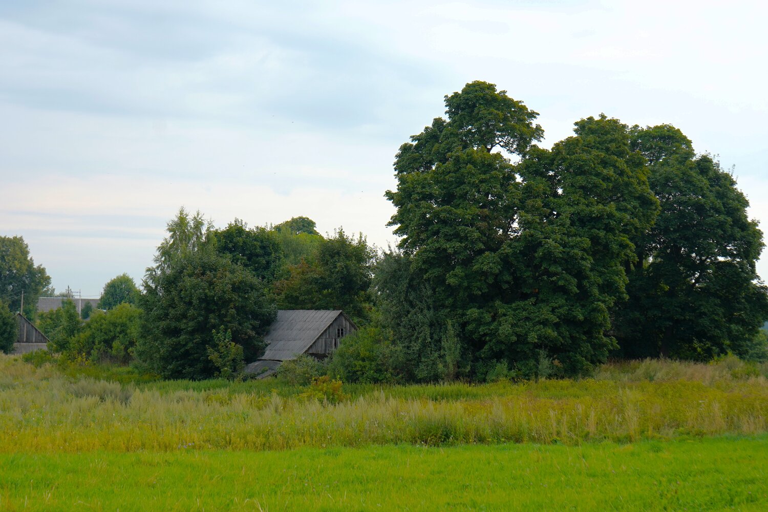 Photo #13910590