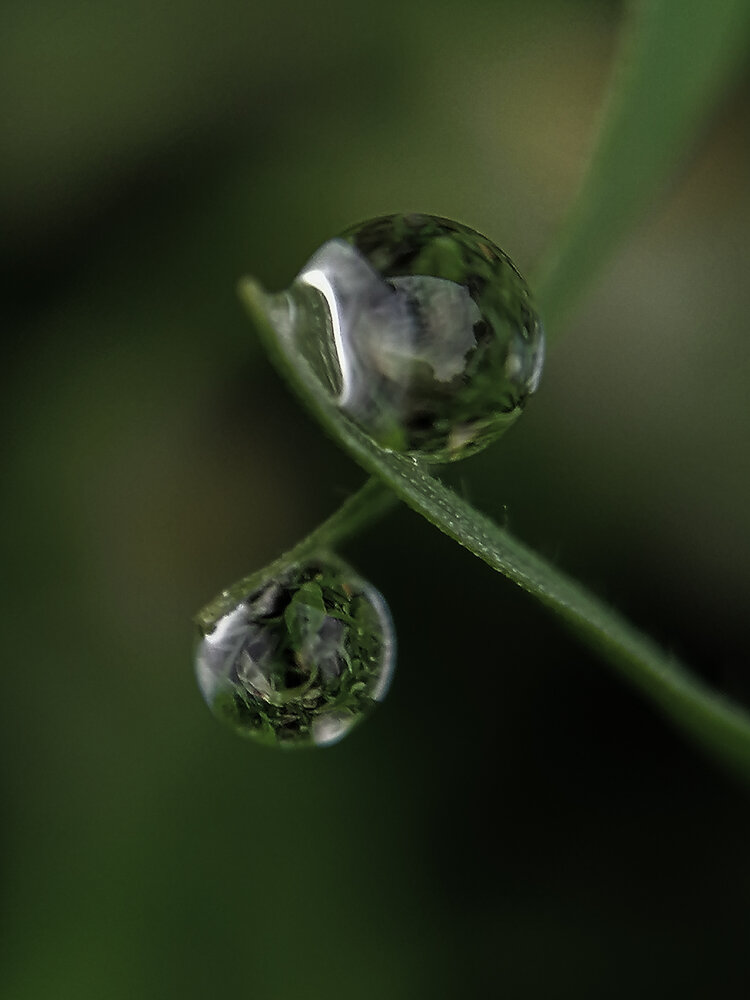 Photograph by Наталия Соболева