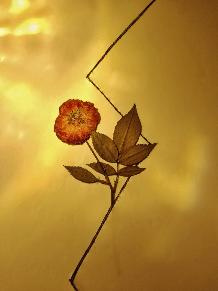 Photograph by Oviul Maruf