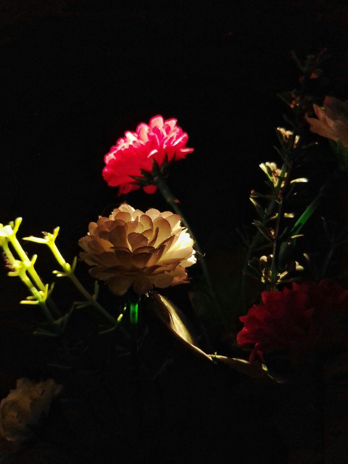 Photo #13910654