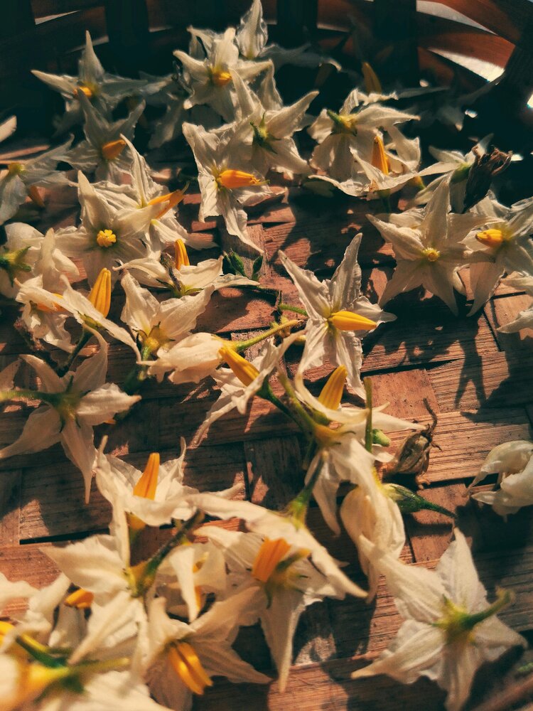 Photograph by Oviul Maruf