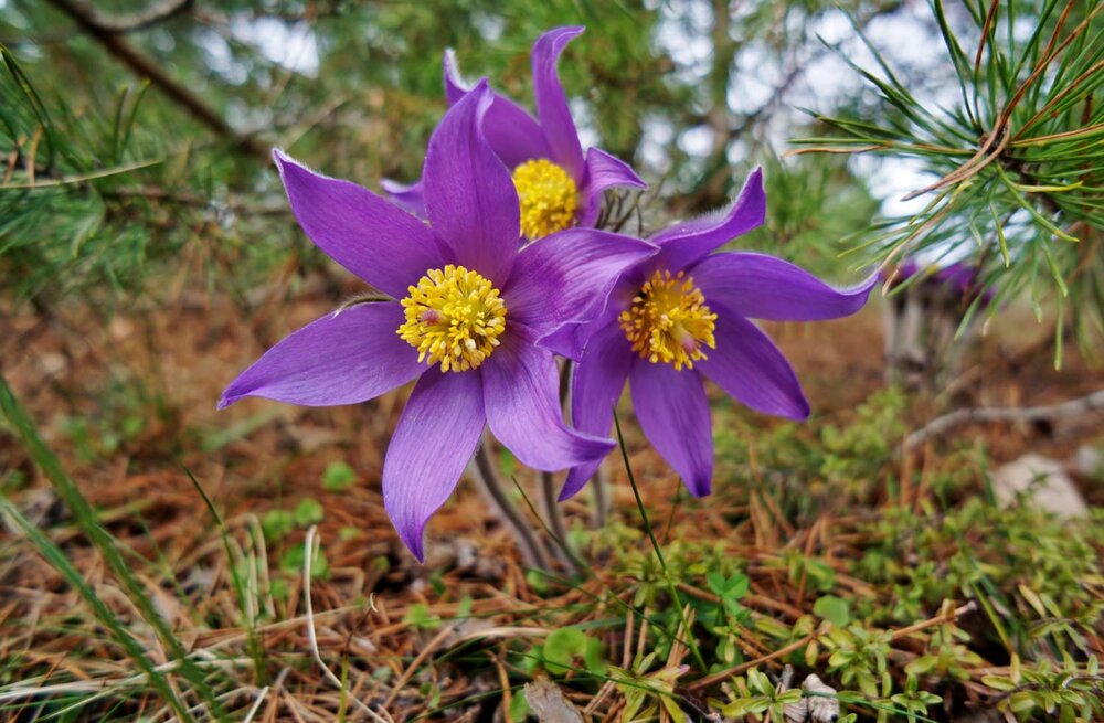 Photograph by Павел Васильев