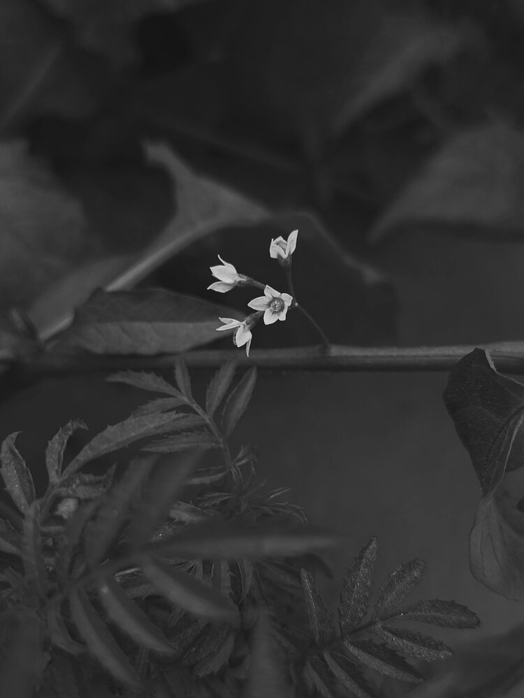Photograph by Aayushi Singh