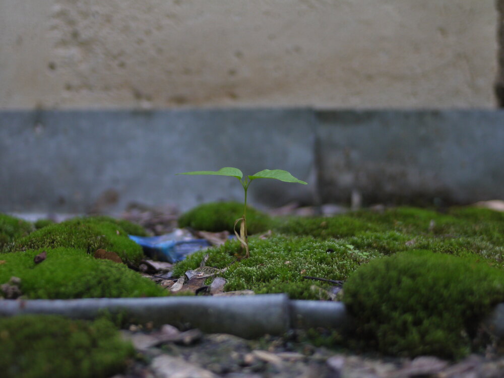 Photograph by Андрей Юдин