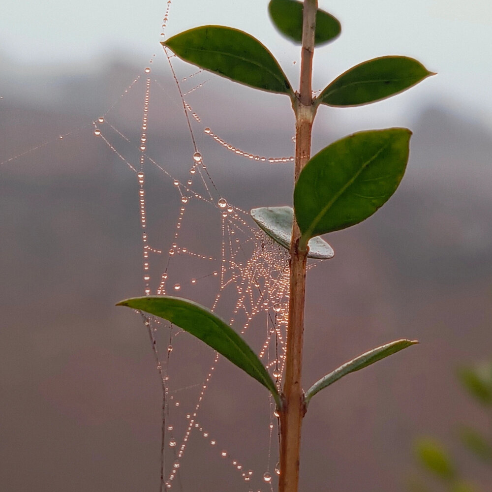 Photograph by Aayushi Singh