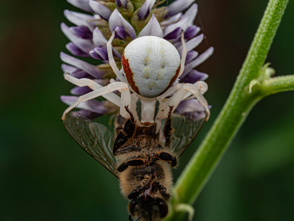 Photograph by Евгений Луценко