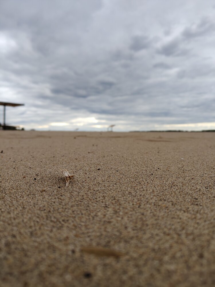 Photograph by Евгений Климов