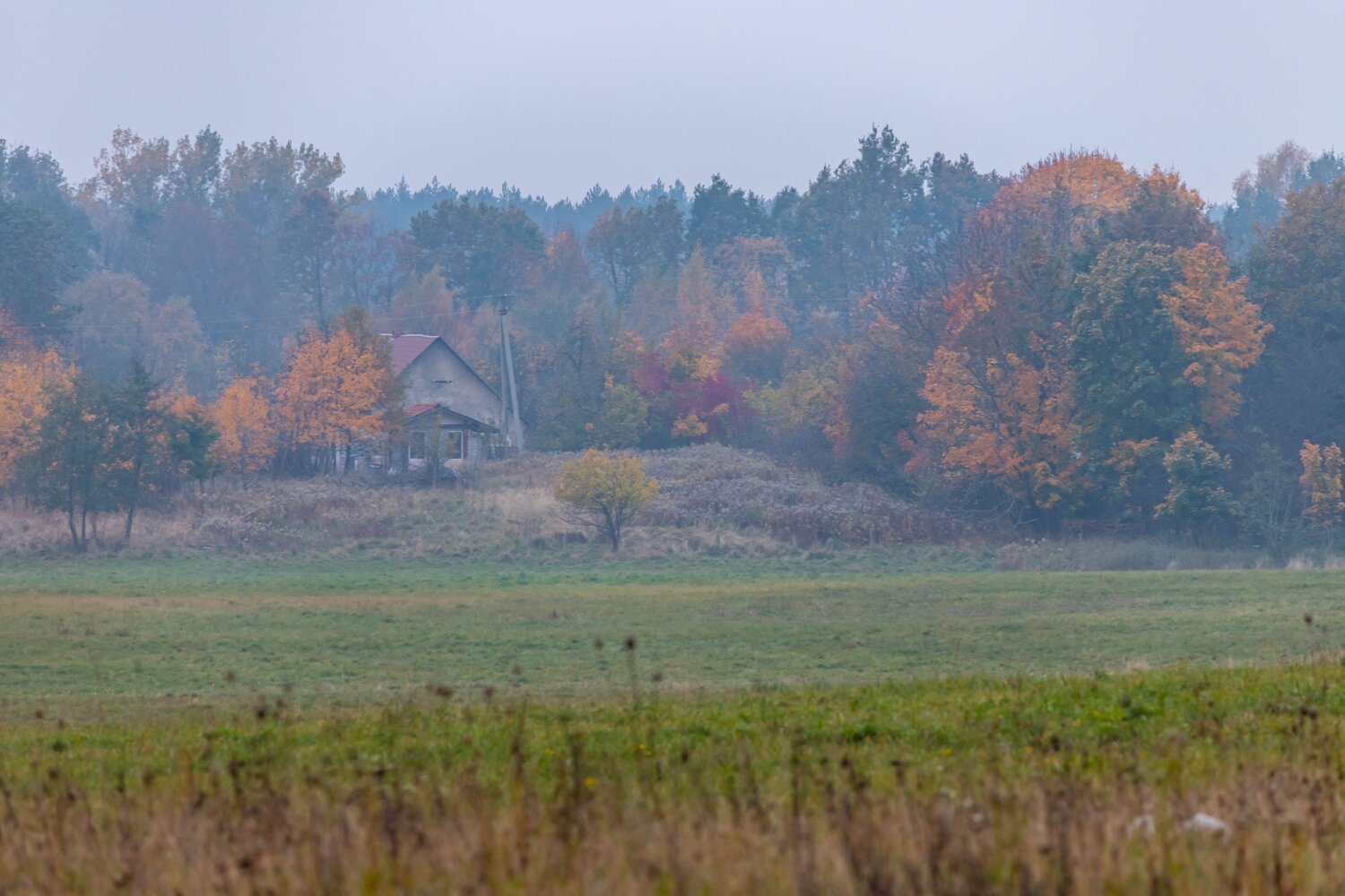 Photo #13910890