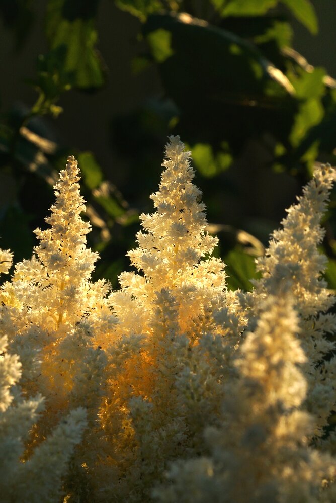 Photograph by Юлия Тимофеева